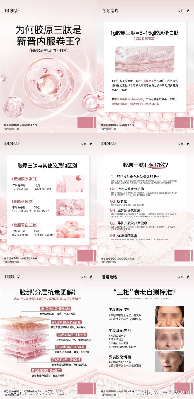 皮肤科普分层抗衰