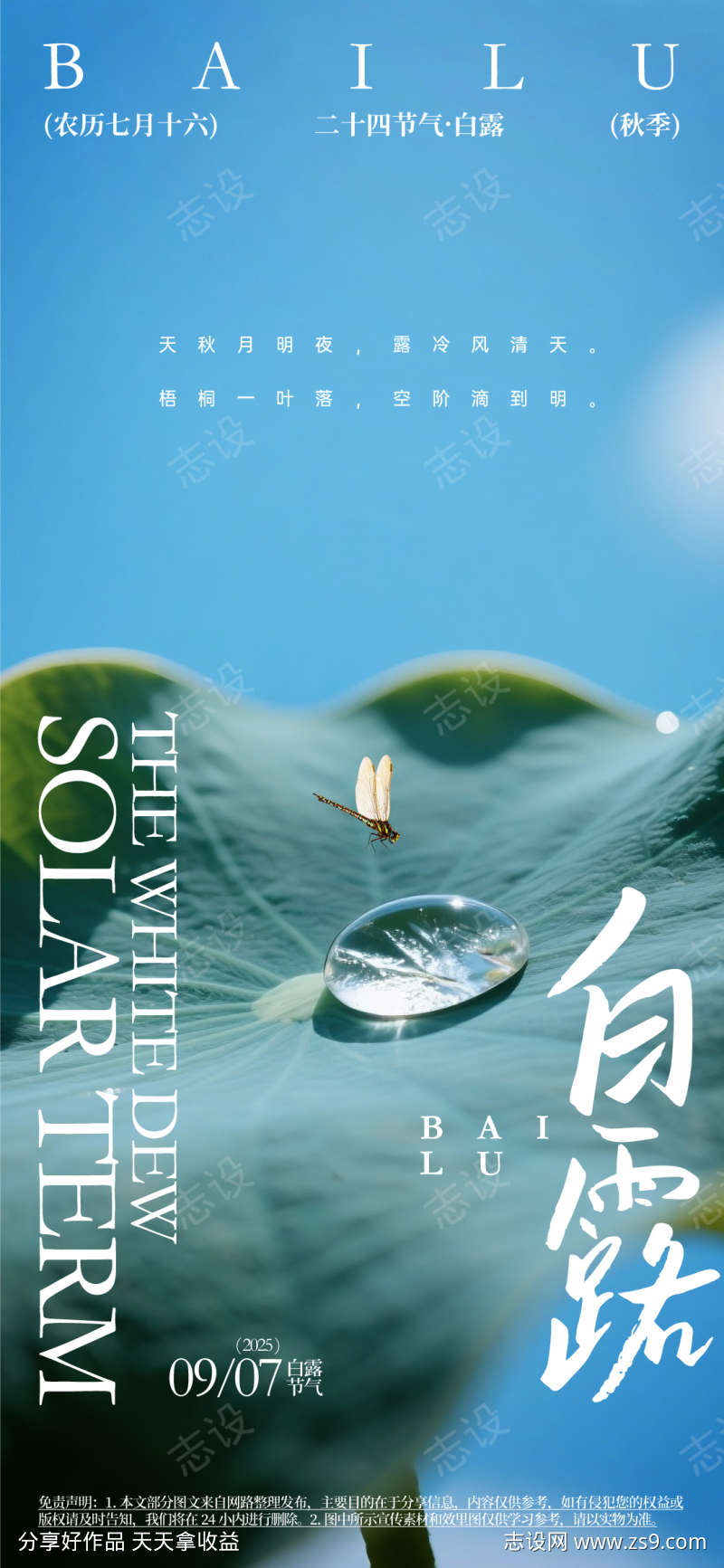 白露节气活动海报