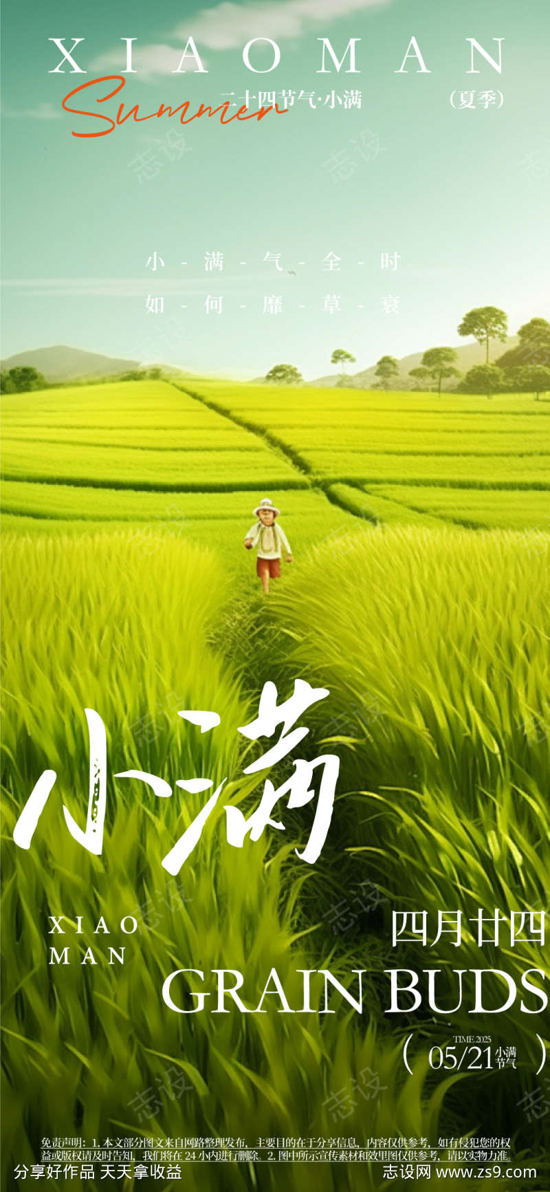 小满节气活动海报