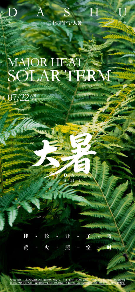 大暑节气宣传海报_源文件下载_AI格式_1080X2340像素-夏季,书法字风格,二十四节气-作品编号:2025061608524387-志设-zs9.com