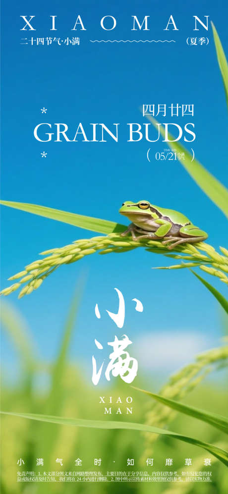 小满节气海报_源文件下载_AI格式_1080X2340像素-小满海报,生机,书法字风格-作品编号:2025061608453345-源文件库-ywjfx.cn