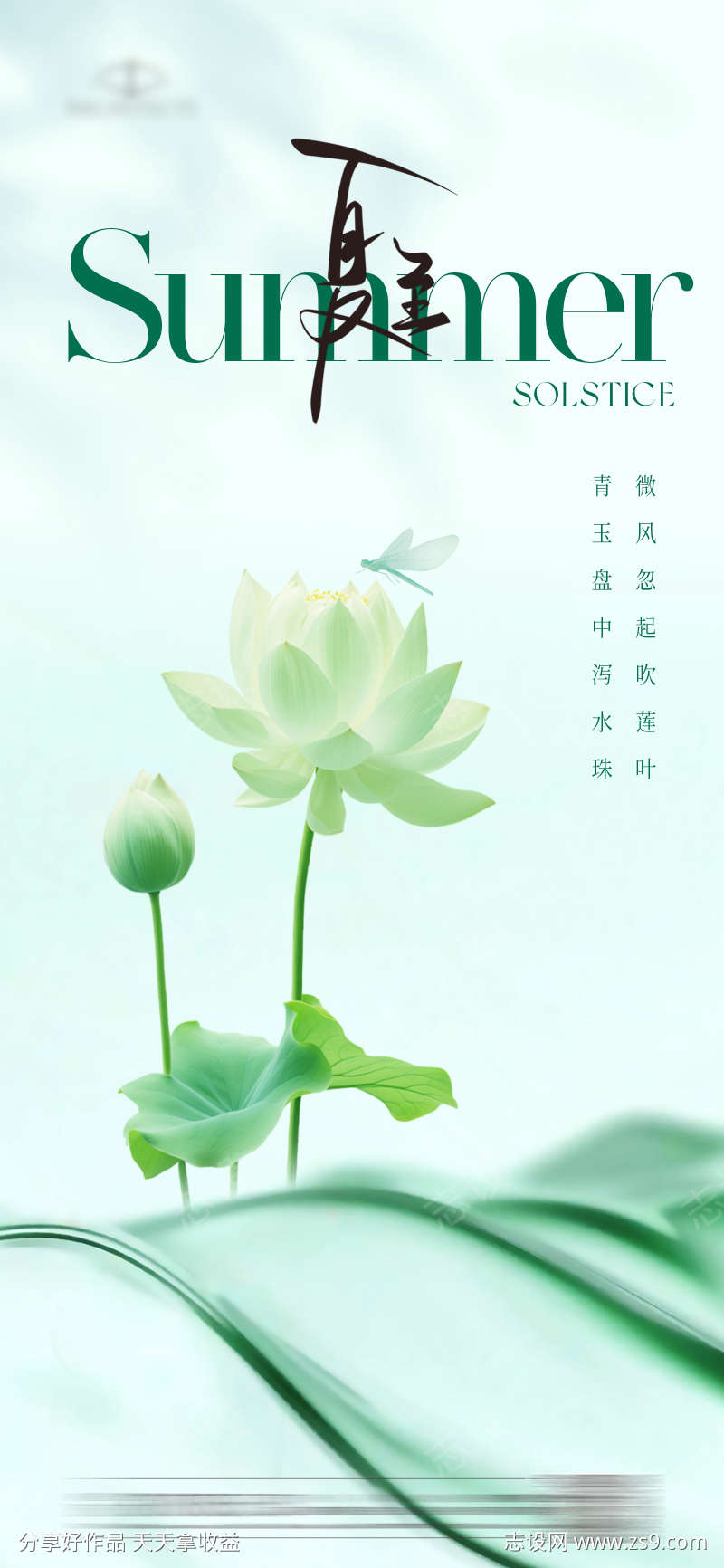 夏至节气海报