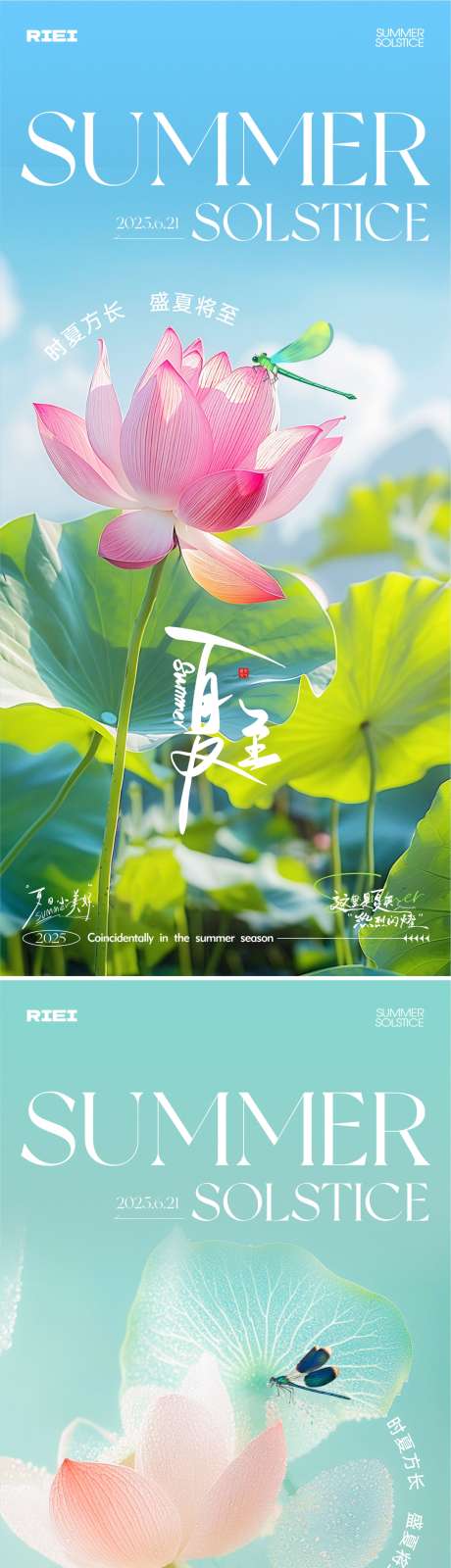 夏至节气海报_源文件下载_CDR格式_1081X4691像素-蜻蜓,鱼水,荷叶-作品编号:2025061609054780-志设-zs9.com