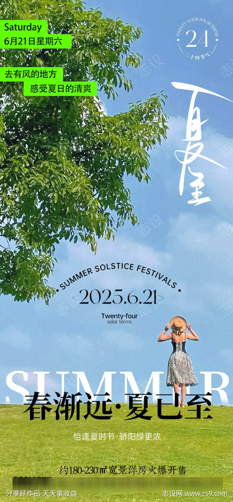 夏至节气海报