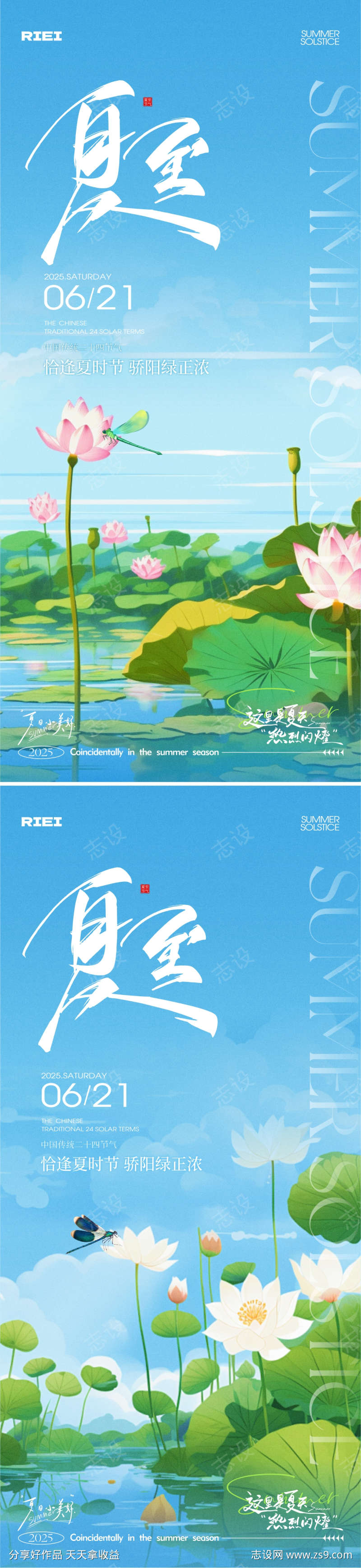 夏至节气海报