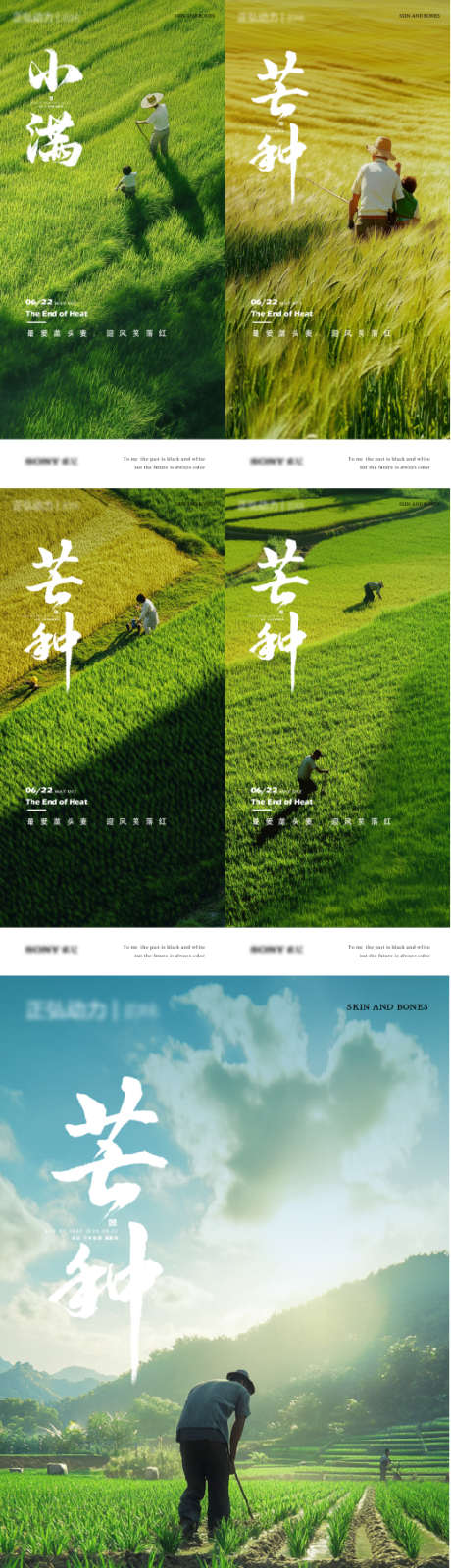 芒种节气海报_源文件下载_AI,PSD格式_519X2246像素-芒种,田野,农耕-作品编号:2025061708447554-志设-zs9.com