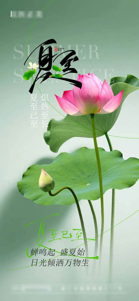 夏至节气海报_源文件下载_PSD格式_1080X2338像素-海报,节气,夏至-作品编号:2025061711499727-志设-zs9.com
