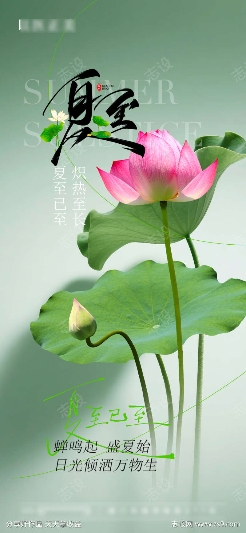 夏至节气海报