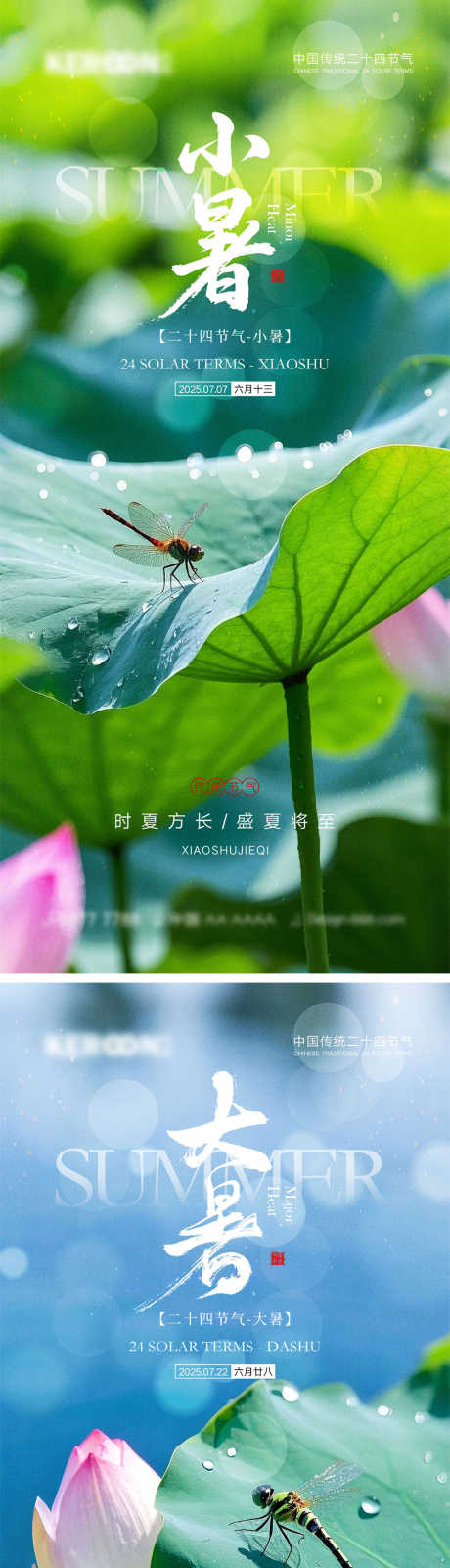 小暑大暑海报_源文件下载_PSD格式_1000X4340像素-昆虫,初夏,系列-作品编号:2025061713061060-志设-zs9.com