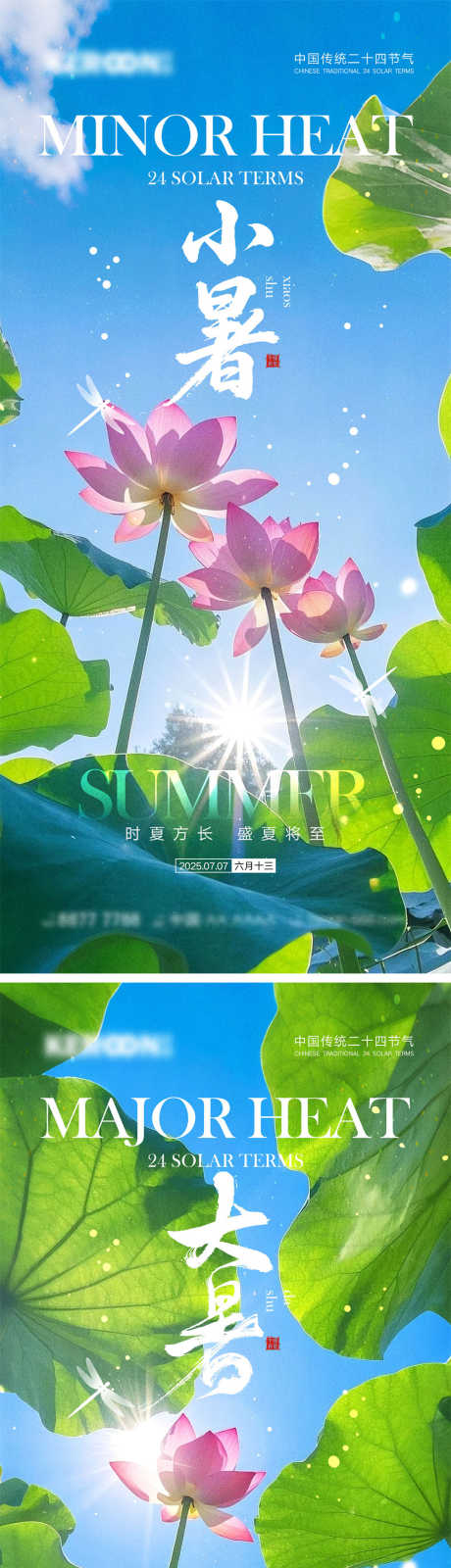 小暑大暑海报_源文件下载_PSD格式_1000X4340像素-昆虫,初夏,系列-作品编号:2025061713124286-志设-zs9.com