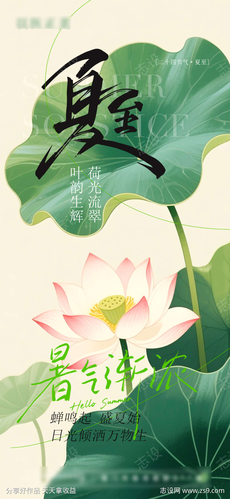 夏至节气海报