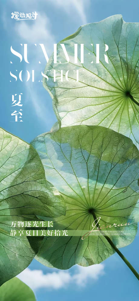 夏至节气海报_源文件下载_AI格式_1169X2533像素-海报,地产,传统二十四节气-作品编号:2025061716336311-志设-zs9.com