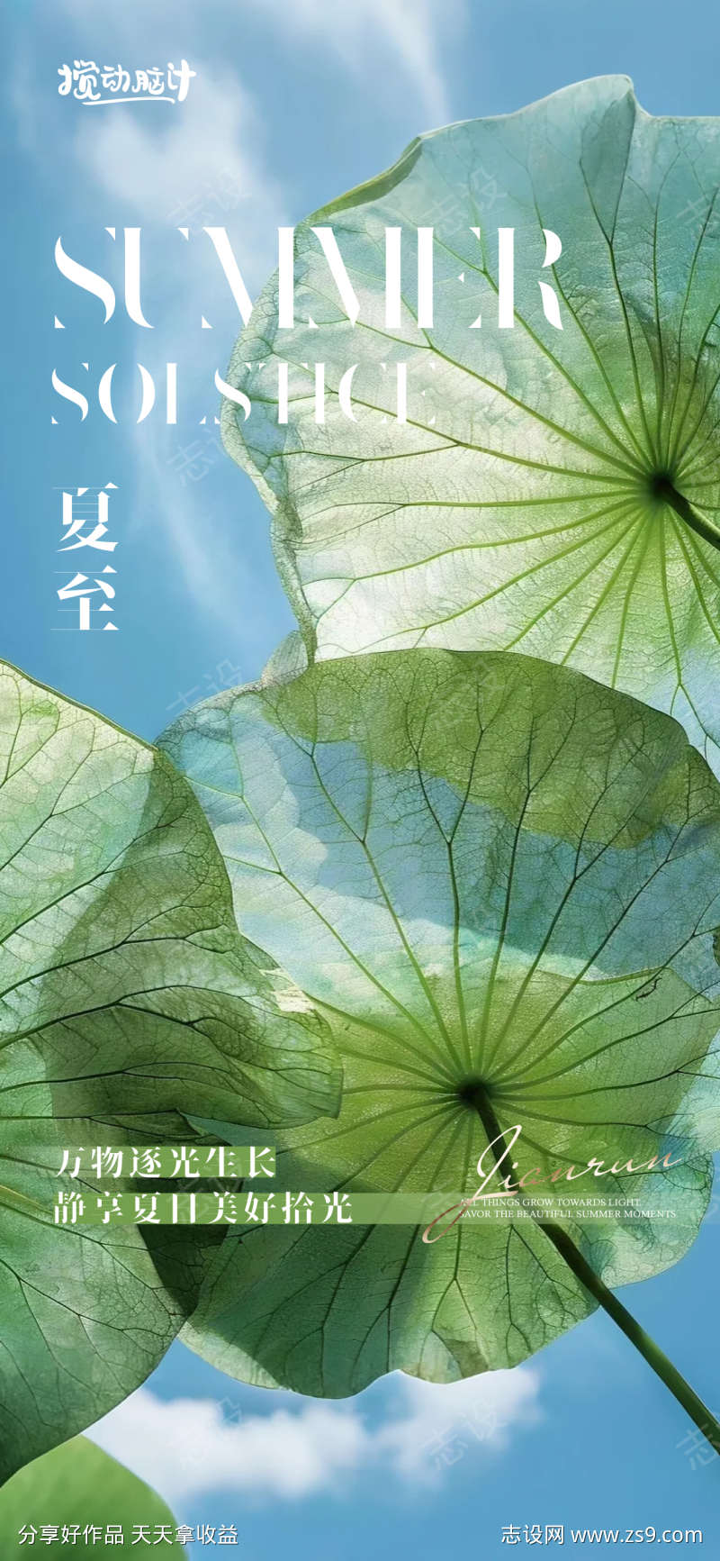 夏至节气海报