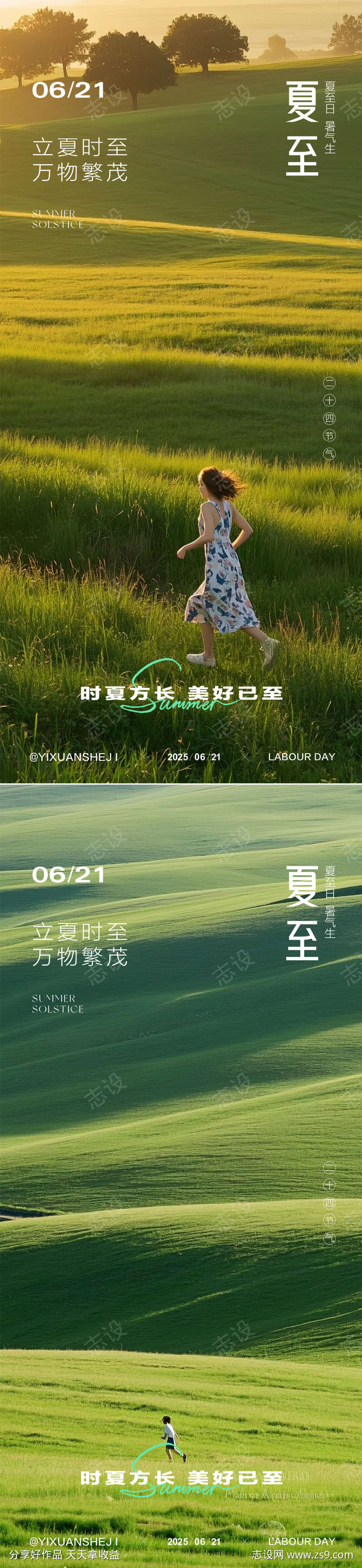 夏至节气海报