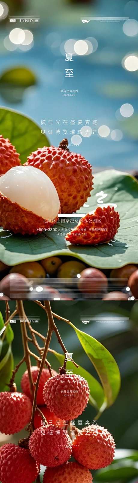 夏至节气海报_源文件下载_PSD格式_1080X4676像素-荔枝,节气,海报-作品编号:2025061808558223-志设-zs9.com