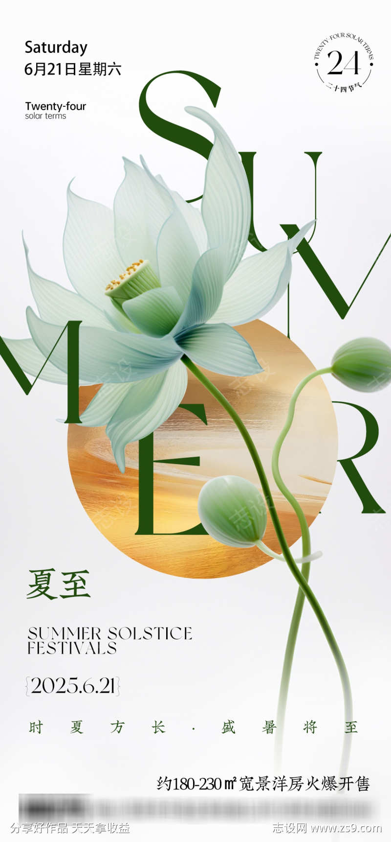 夏至节气海报