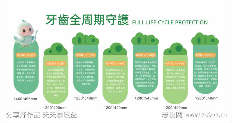 牙齿全周期守护