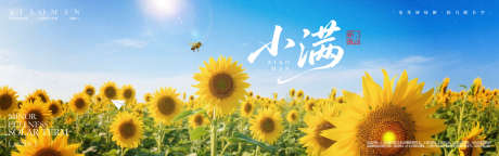 小满横幅宣传海报