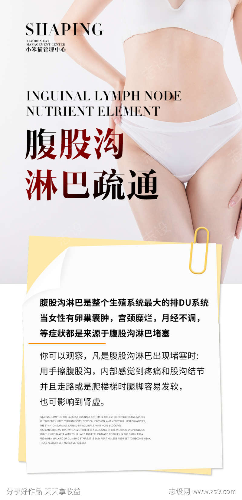 腹股沟淋巴海报