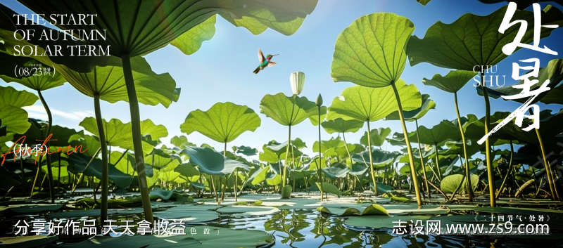 处暑24节气宣传海报