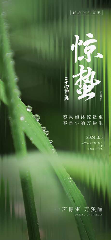 中国节气惊蛰_源文件下载_PSD格式_1242X2688像素-春天,春季,树叶-作品编号:2025061916415343-志设-zs9.com