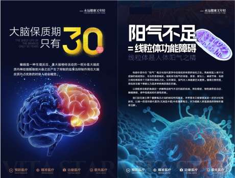 大脑干细胞海报_源文件下载_PSD格式_1014X767像素-细胞,阳气不足,大脑-作品编号:2025062010132012-志˲͓͕͔͐͑͗ٚٛٙ设ˆ网