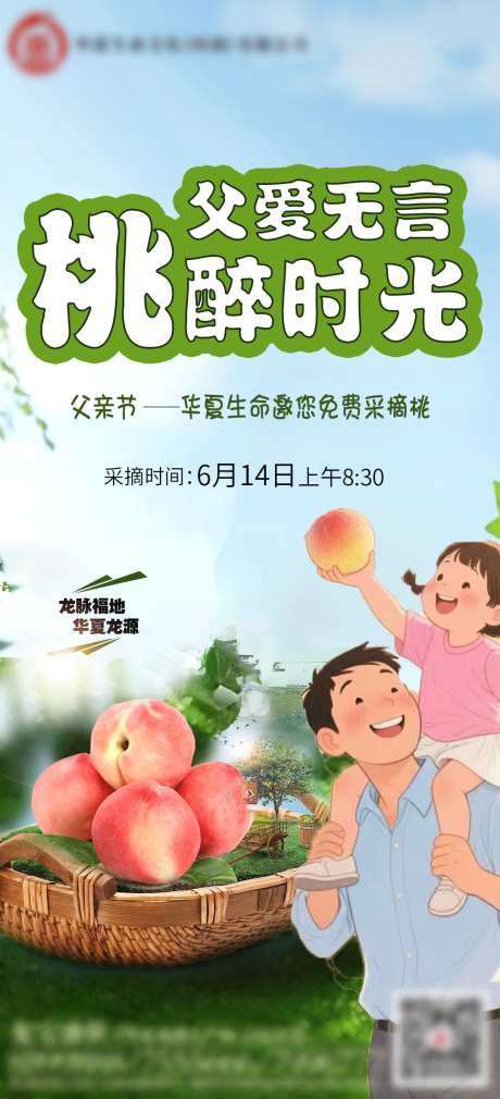 父亲节采摘桃海报_源文件下载_PSD格式_1080X2371像素-采摘,父亲节,海报-作品编号:2025061915514708-志设