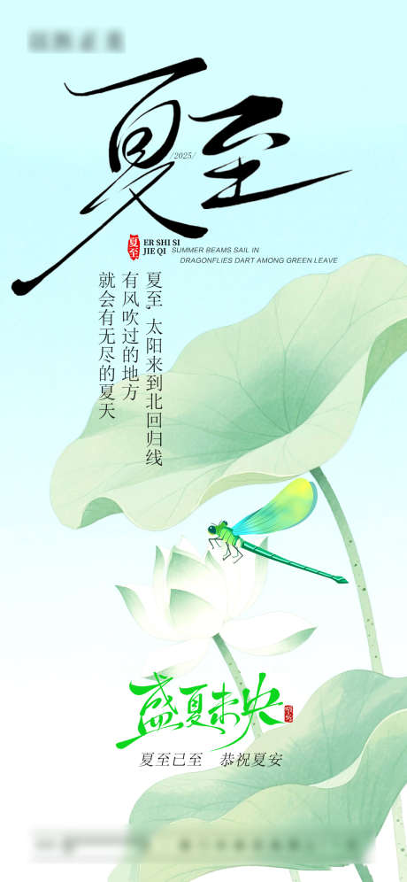 夏至节气海报