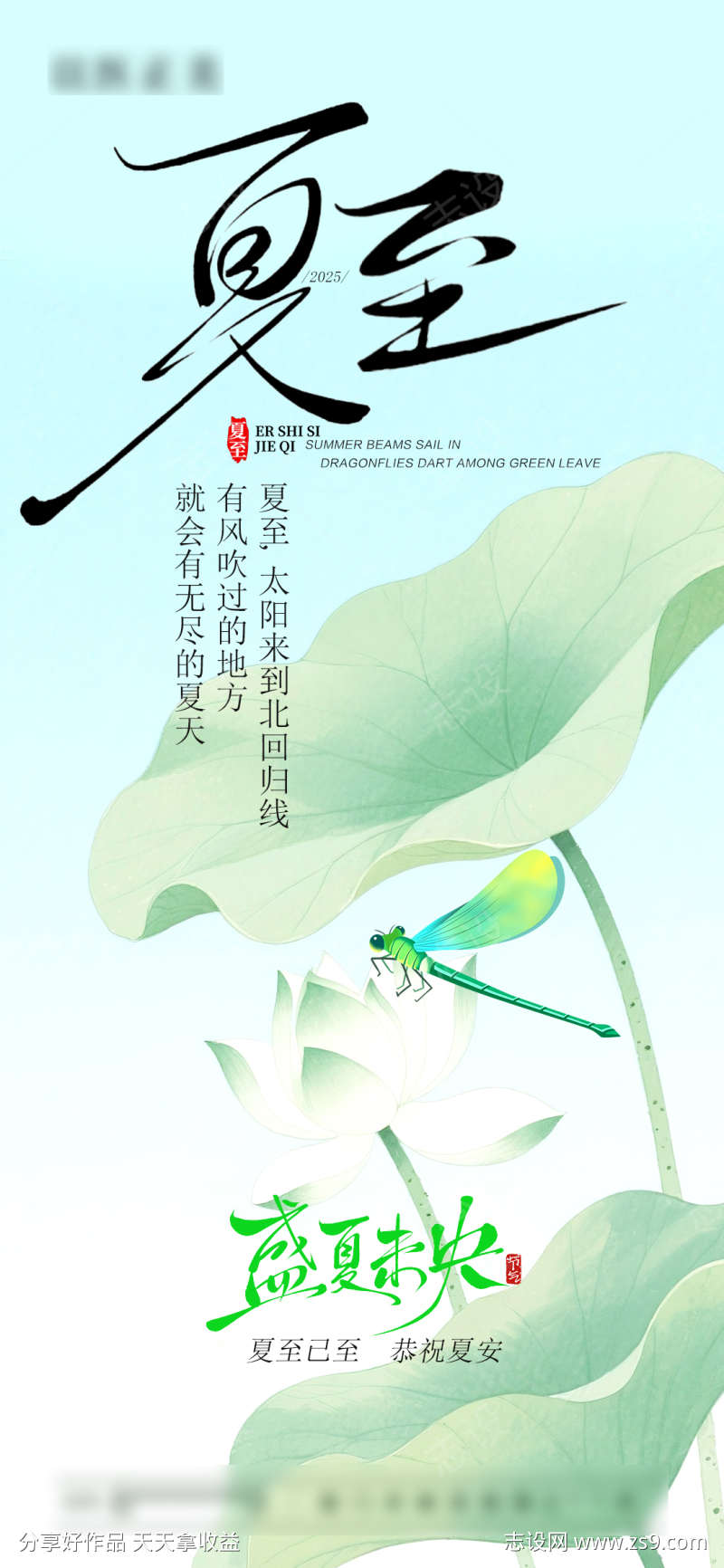 夏至节气海报