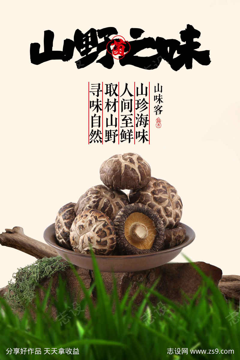 蘑菇山菌美食促销海报