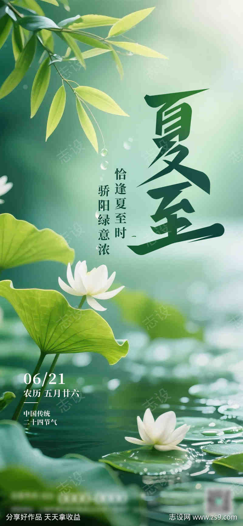 夏至节气海报