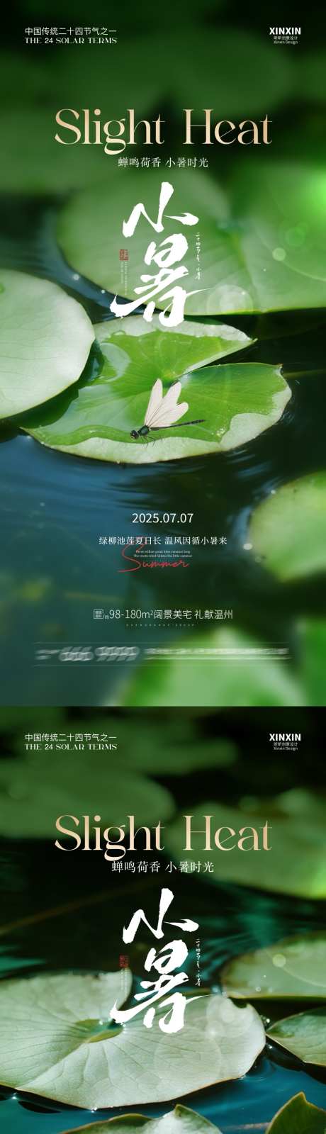 小暑荷叶海报_源文件下载_PSD格式_1080X4680像素-蜻蜓,荷叶,节气-作品编号:2025062314102612-志设-zs9.com