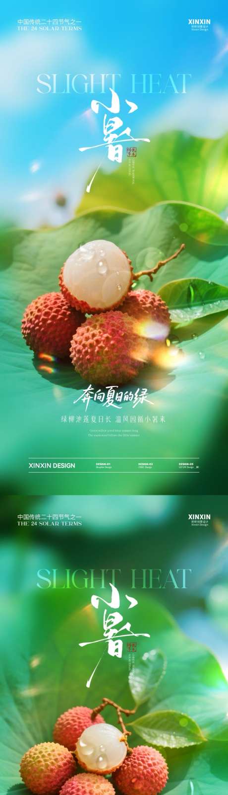 小暑荔枝荷叶海报_源文件下载_PSD格式_1080X4680像素-荔枝,荷叶,小暑-作品编号:2025062314121540-志设-zs9.com
