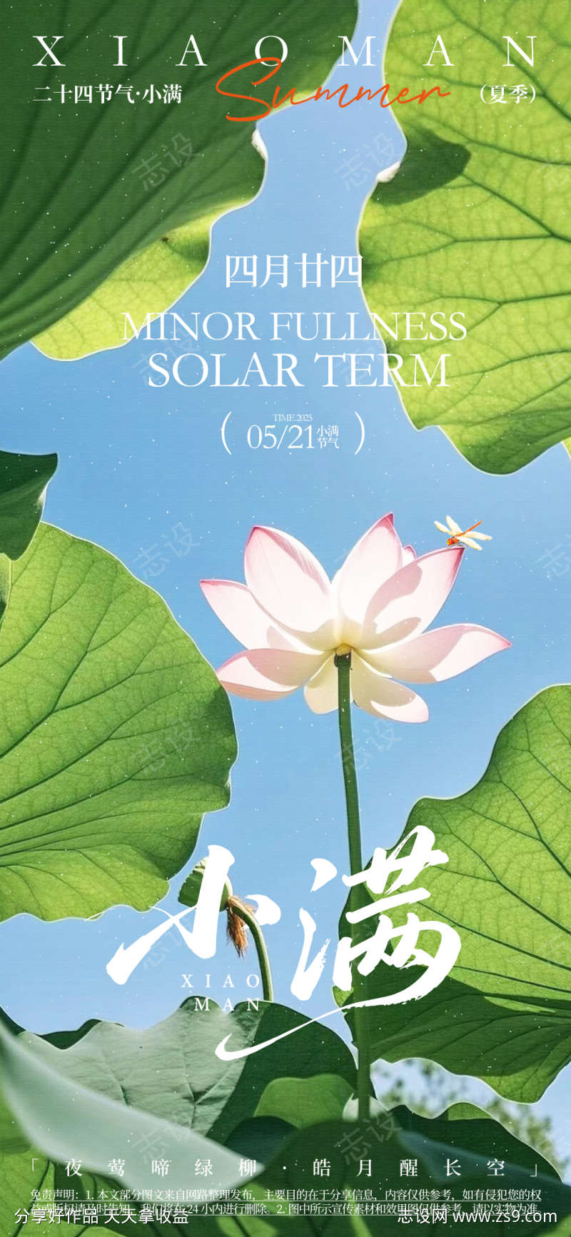 小满节气活动海报