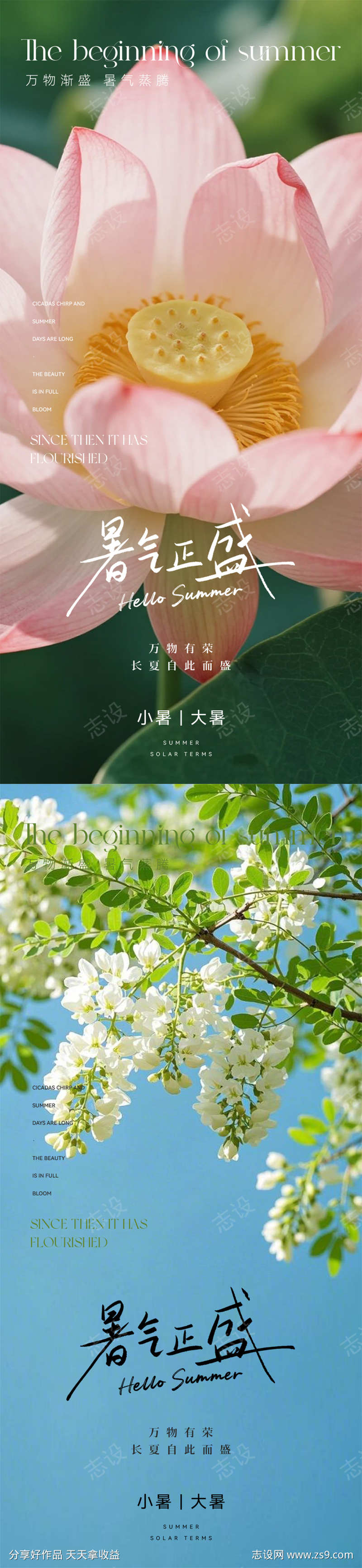 小暑大暑节气