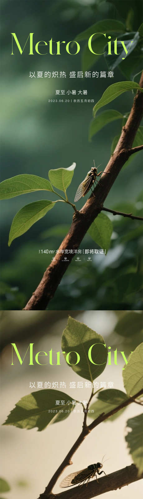 夏至节气海报_源文件下载_PSD格式_1080X4676像素-蝉鸣,意境,节气海报-作品编号:2025062520432921-志设-zs9.com