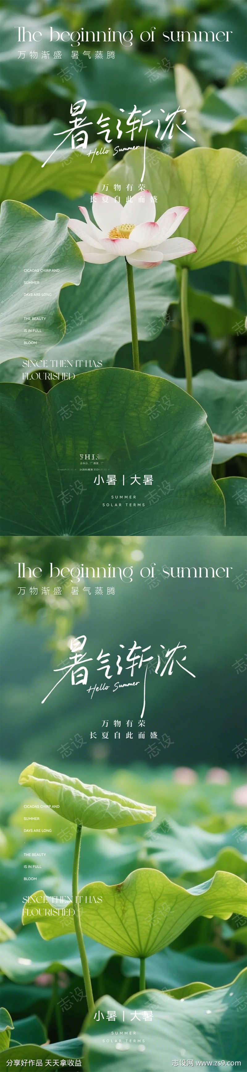 小暑大暑处暑