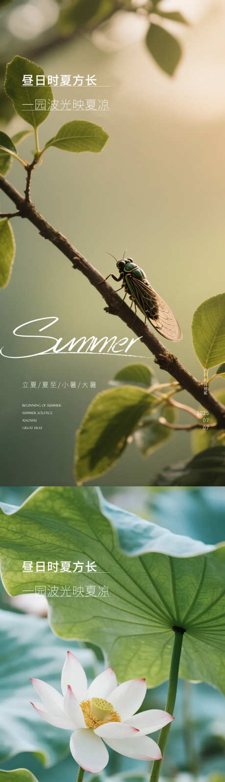 小暑节气海报_源文件下载_PSD格式_1080X4676像素-绿色,夏天,节气-作品编号:2025062521043006-志设-zs9.com