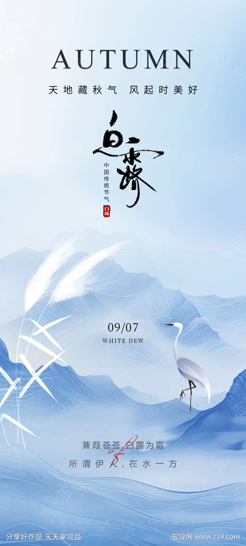 丹顶鹤白露海报