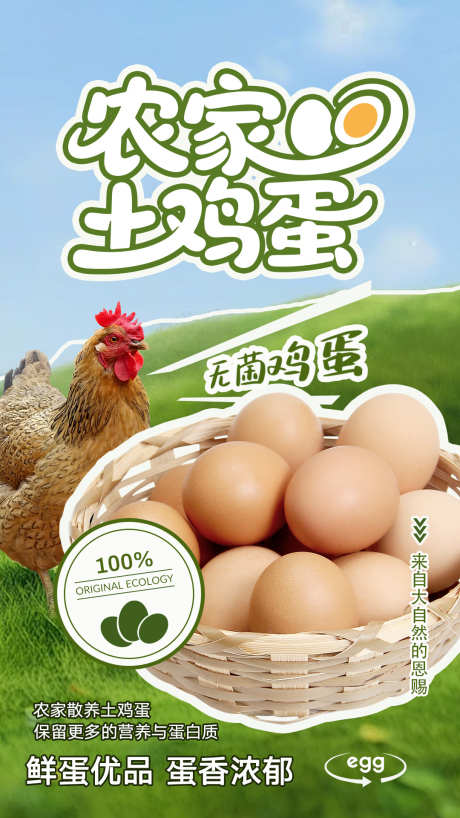 土鸡蛋海报设计_源文件下载_PSD格式_1080X1920像素-食品,农家,土鸡蛋-作品编号:2025062416528816-志设-zs9.com