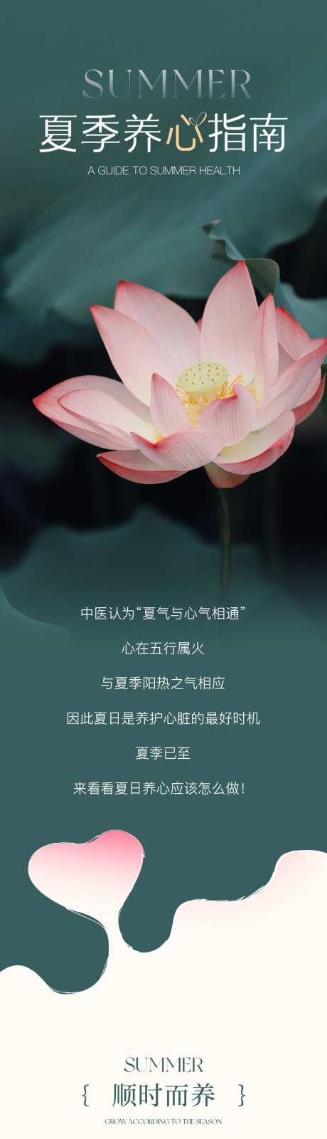 夏季养心指南长图_源文件下载_PSD格式_1080X11000像素-养生,荷花,推文-作品编号:2025062413034667-志设-zs9.com