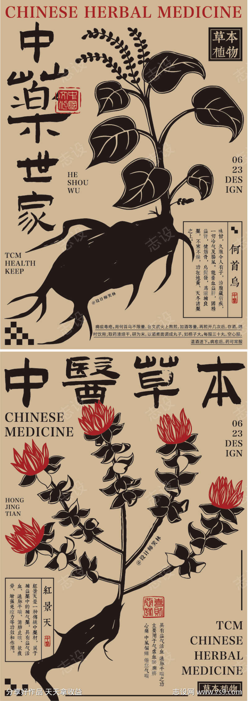 手绘中医草药世家宣传海报