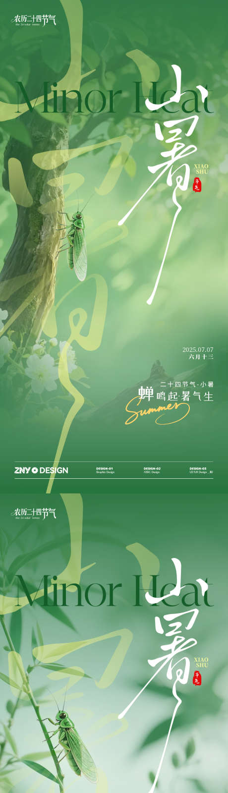 小暑写实节气海报_源文件下载_PSD格式_1242X2268像素-绿植,清新,简约-作品编号:2025062417119687-志设-zs9.com