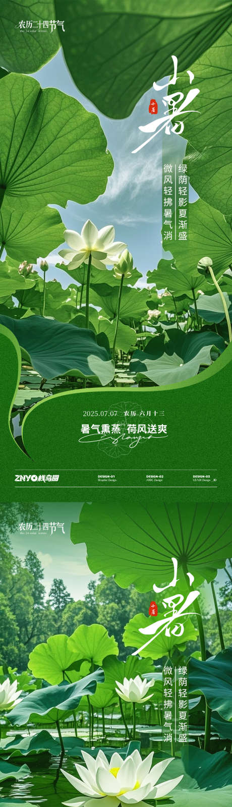 小暑荷花主题海报_源文件下载_PSD格式_1242X2268像素-荷花,荷叶,夏日-作品编号:2025062417153850-志设-zs9.com
