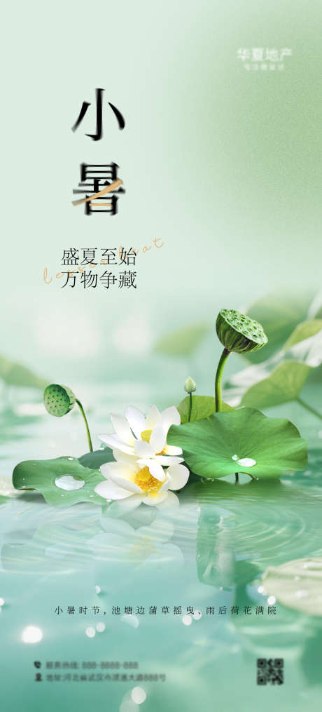 小暑海报设计_源文件下载_AI格式_1242X2741像素-夏日,荷花,海报-作品编号:2025062610272485-志设-zs9.com