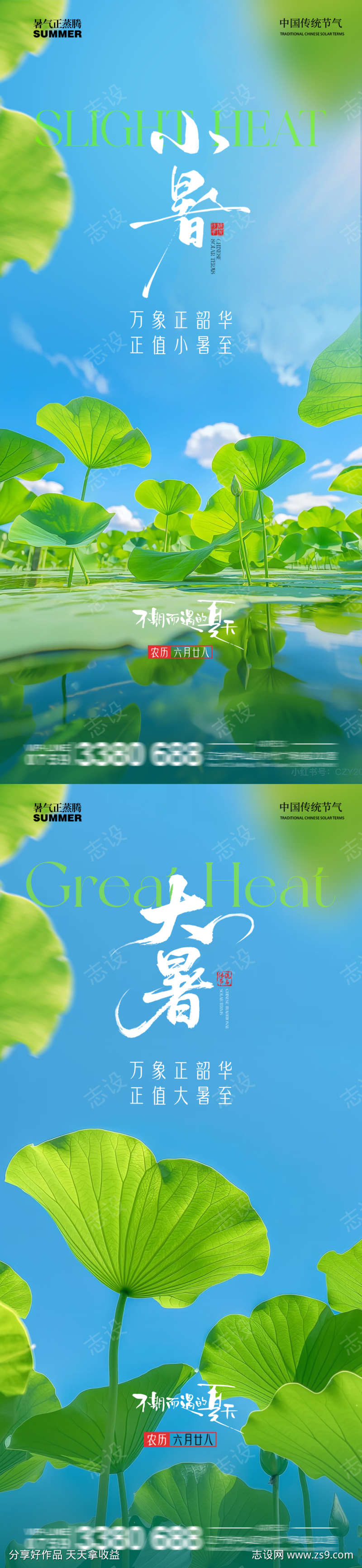 小暑大暑荷花荷叶蜻蜓池塘夏季清新蓝天阳光