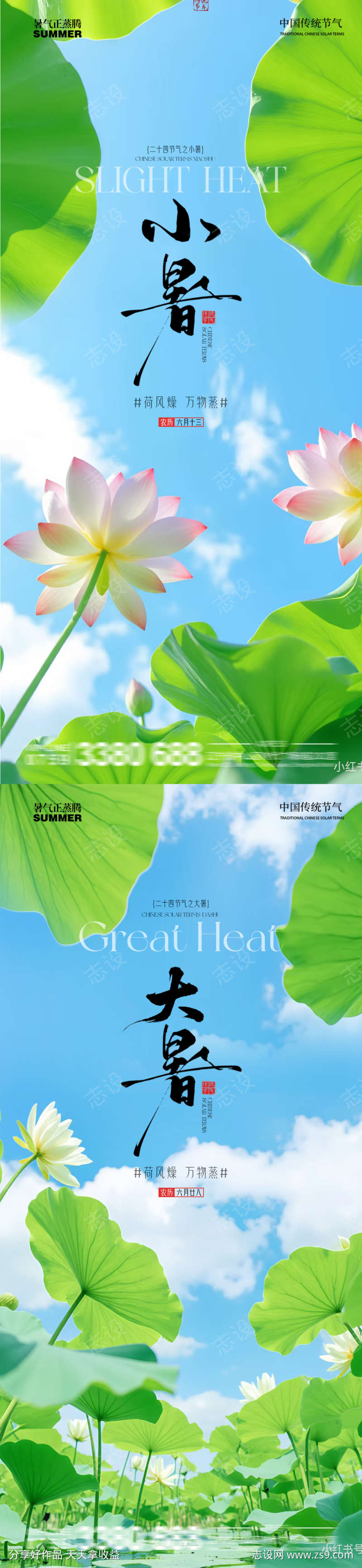 小暑大暑荷花荷叶蜻蜓池塘夏季清新蓝天阳光