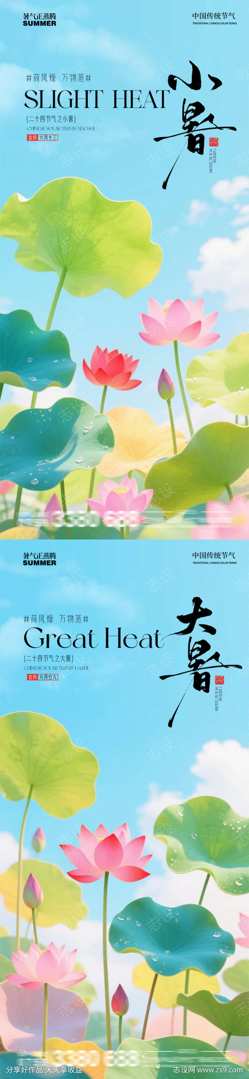 小暑大暑荷花荷叶蜻蜓池塘夏季清新蓝天阳光
