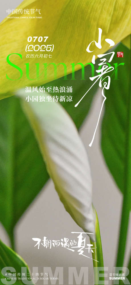 小暑芭蕉叶叶子夏天简约清新夏季意境_源文件下载_PSD格式_1500X3245像素-夏季,清新,简约-作品编号:2025062716186518-志设-zs9.com