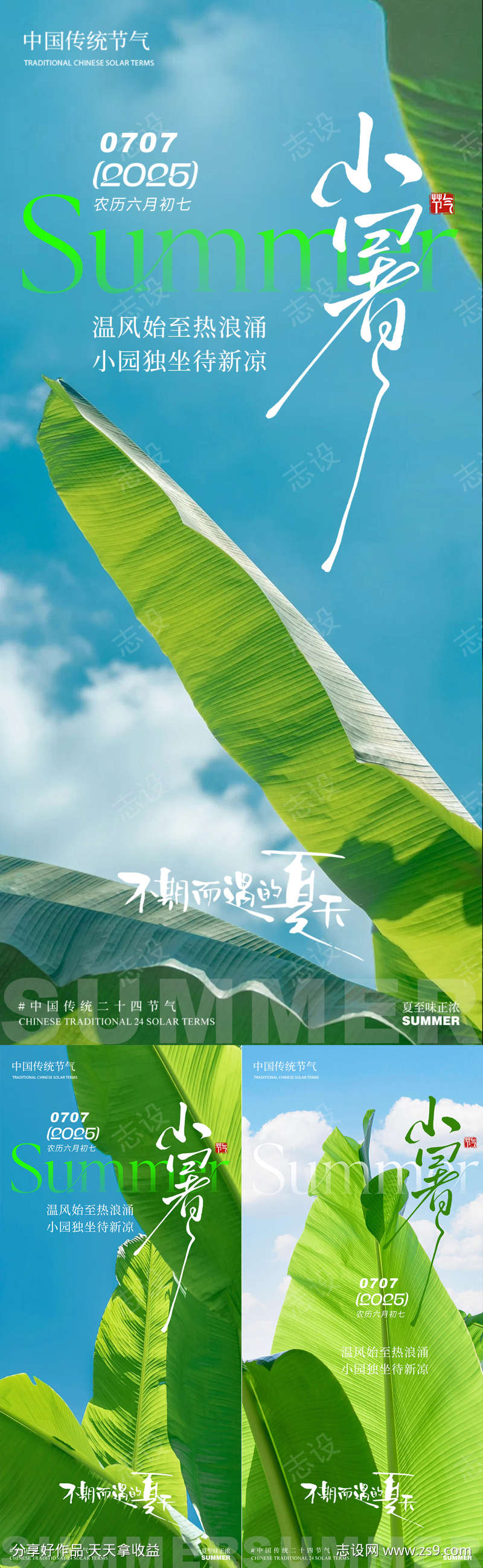 小暑芭蕉叶叶子夏天清新简约蓝天白云夏季系